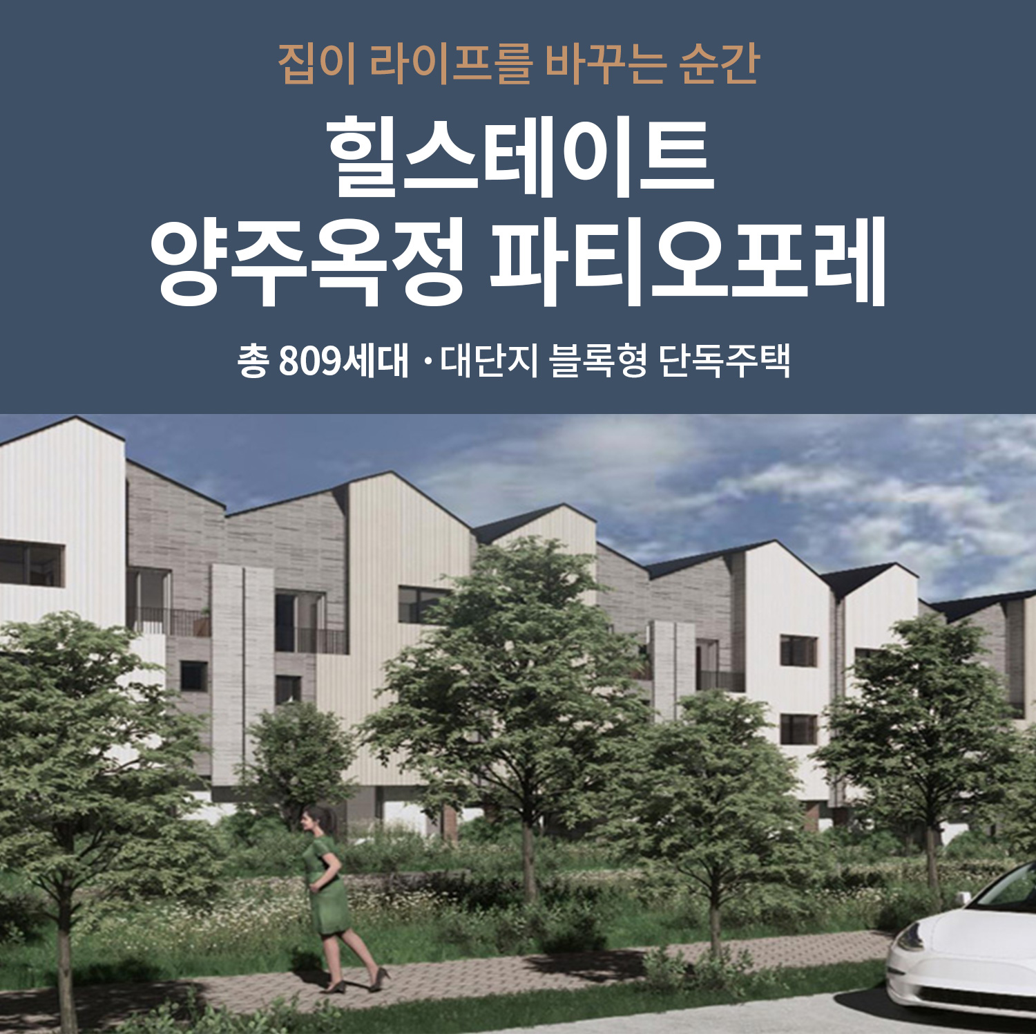 모메-1